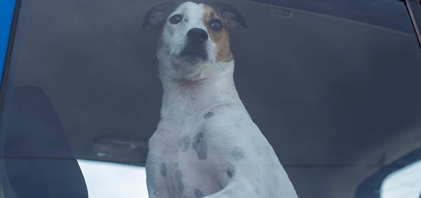 Car Lockout Solutions in Grover Beach, California